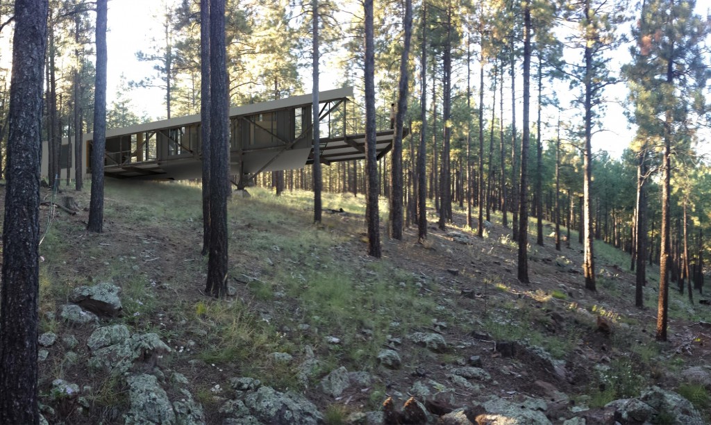 Treehouse Truss residential architecture